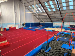 Image result for York University Gymnastics Club