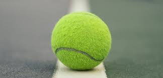 Image result for Harwell Laboratories Junior Badminton Club