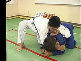 Image result for Rising Sun Judo Club