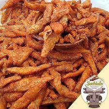 Attēlu rezultāti vaicājumam “Charales”