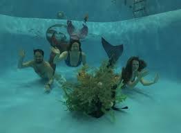 Image result for Discover Swimming