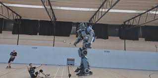 Image result for Bewdley Virtue Dodgeball Club