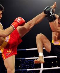 Image result for Southgate T`ai Tsung Chinese Boxing