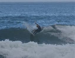 Image result for Uwe Surf Club