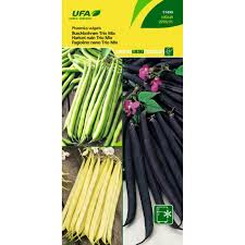 Image result for Buschbohnen