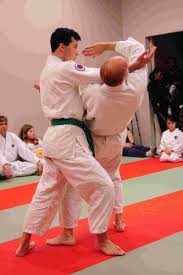 Image result for Durham City Aikikai