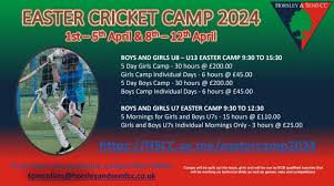 Image result for Horsley & Send Cricket Club