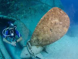 Image result for Canary Divers