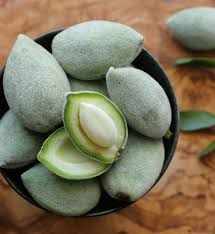 Image result for fresh green almonds