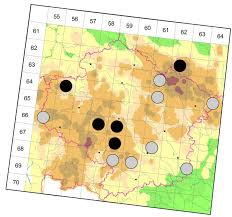Attēlu rezultāti vaicājumam “Pterostichus aethiops”