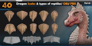 Image result for reptile scales