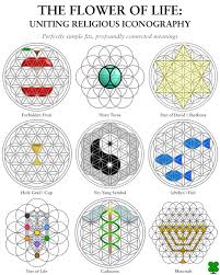 Image result for life flower