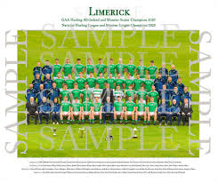 Image result for University Of Limerick Gaa Hurling Club