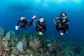 Image result for World Divers