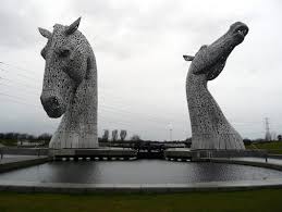 Image result for Scottish Equi Complex