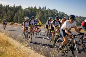 Image result for Winchester Motor Cycle Club