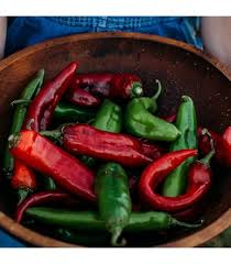 Afbeeldingsresultaat voor numex sandia hot pepper