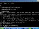 Python Paste