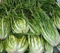 Image result for Zichorie