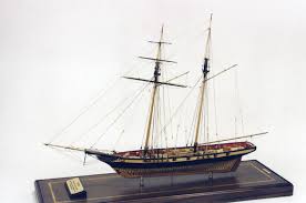 Image result for Xarifa