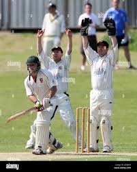 Image result for Hadleigh Cricket Club