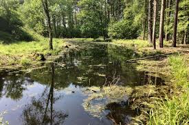 Image result for Intensive Training Group Northampton