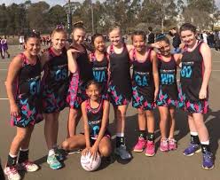 Image result for Blue Jays Netball Club