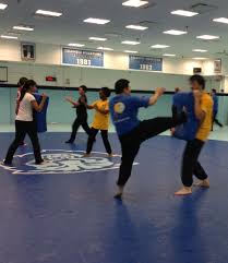 Image result for Clubb Chimera Martial Arts