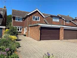 Image result for Rayleigh Sac