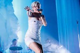 Image result for robyn