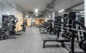 Image result for Torbay Olympic Gymnastics Club