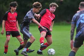 Image result for Harbertonford A F C
