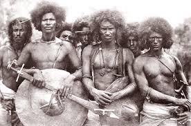 Kuvahaun tulos haulle nagas