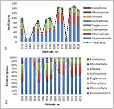 Attēlu rezultāti vaicājumam “Chaetophora pisiformis”
