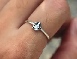 Attēlu rezultāti vaicājumam “Setaria viridis leaf”