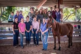 Image result for Riding For The Disabled Association