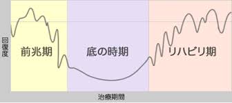 Image result for うつ病 亜型分類