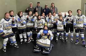 Image result for Phoenix Hockey Club (Essex)