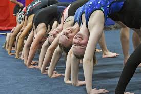 Image result for Fish trampoline and gymnastics club