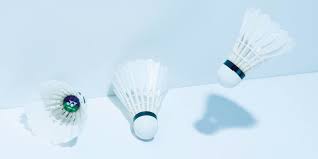 Image result for Shuttles (Brentford) Badminton Club