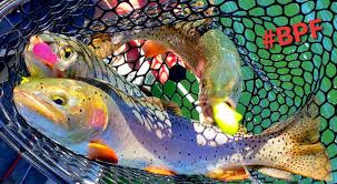 Image result for Wakefield Angling Club