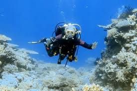 Image result for Lutterworth Sub-Aqua Club