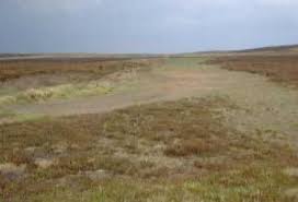 Image result for Carlton Moor Gliding Club Ltd