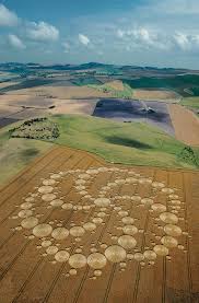 Image result for crop circles