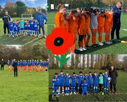Image result for Manor Colts Youth Football Club