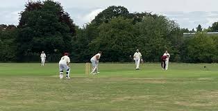Image result for Pyrford Cricket Club