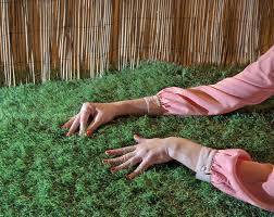 Image result for Astroturf