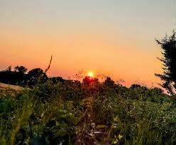 Image result for Castle Hedingham Bowling Club