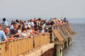 Image result for Diggle Angling Club