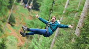 Image result for Go Ape! Thetford